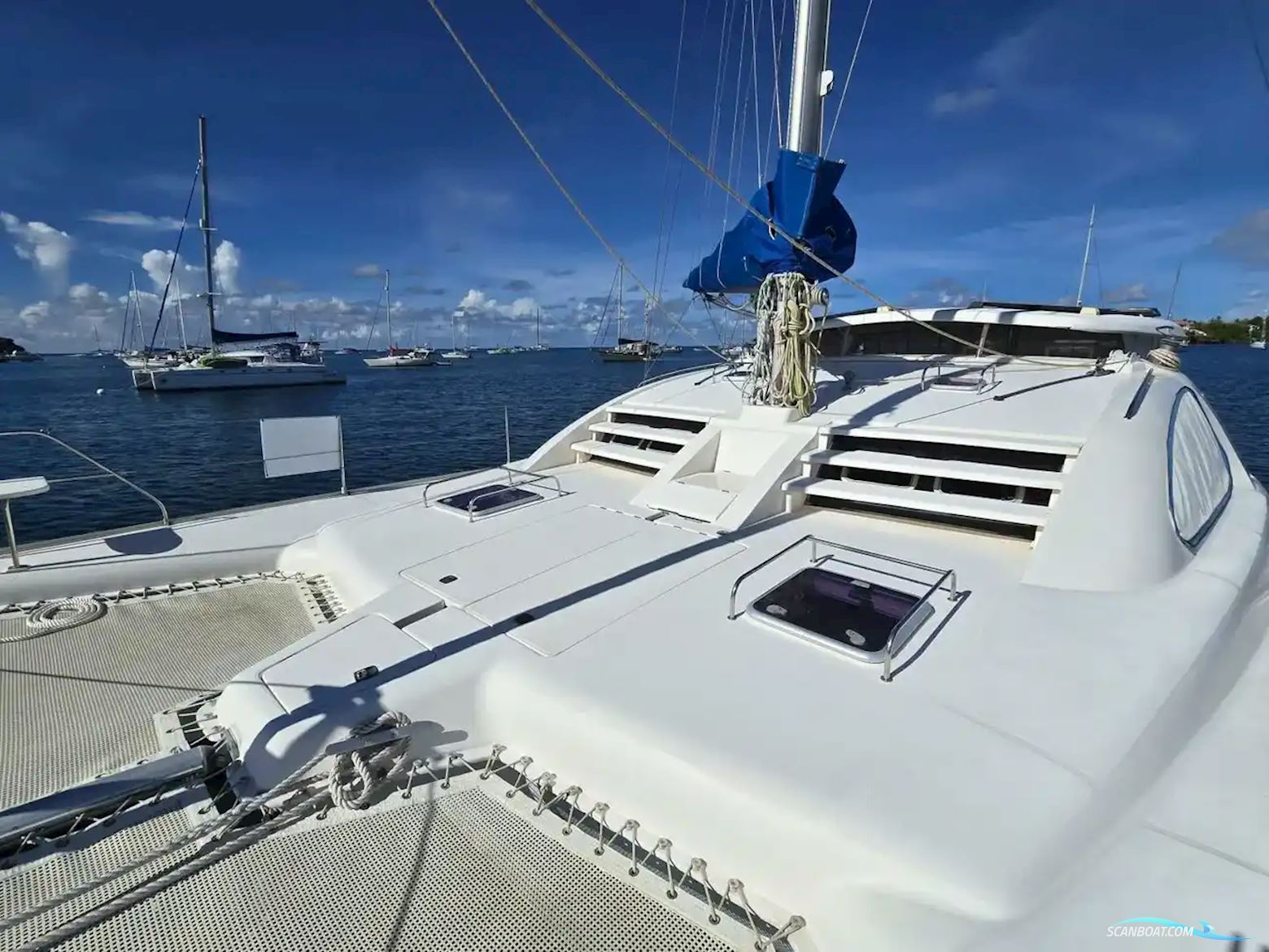 Leopard 43