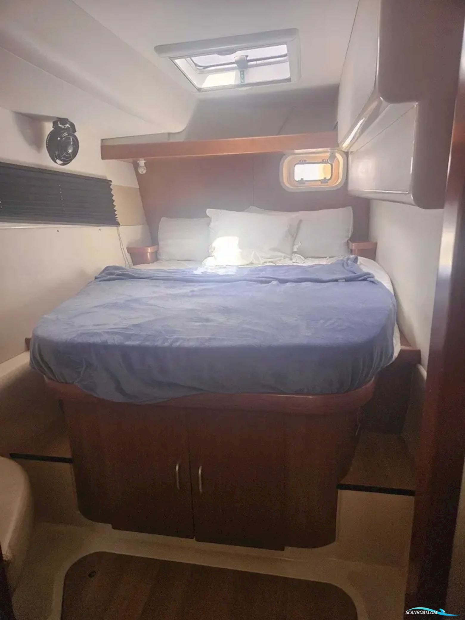Leopard 46