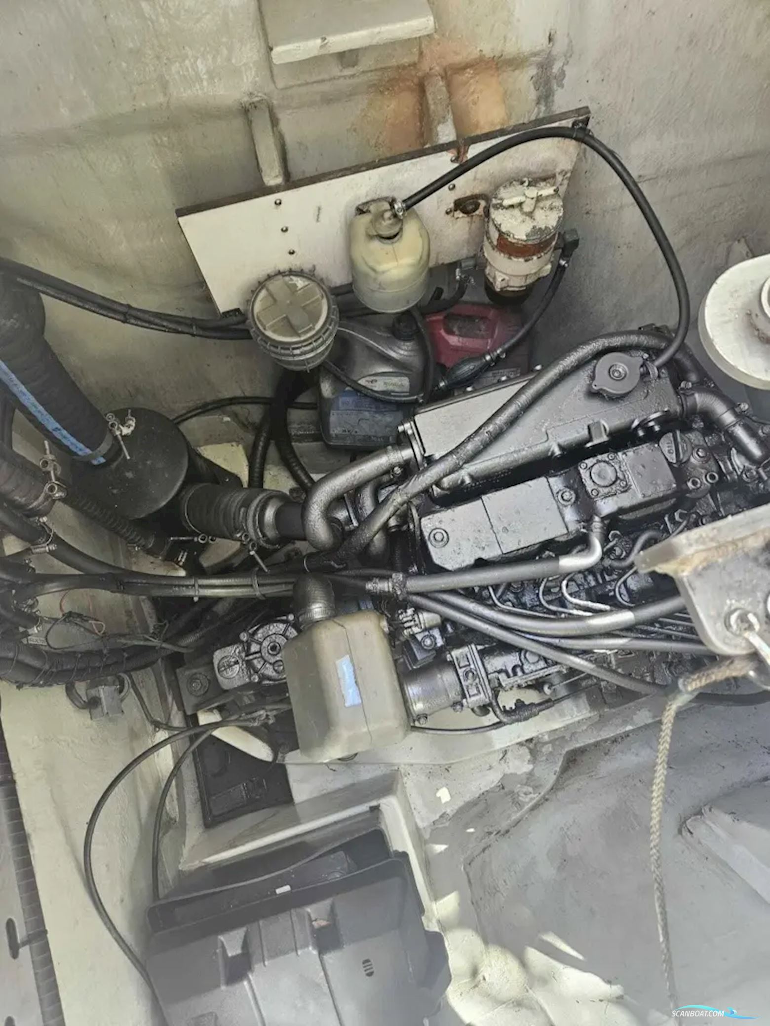 Leopard 46