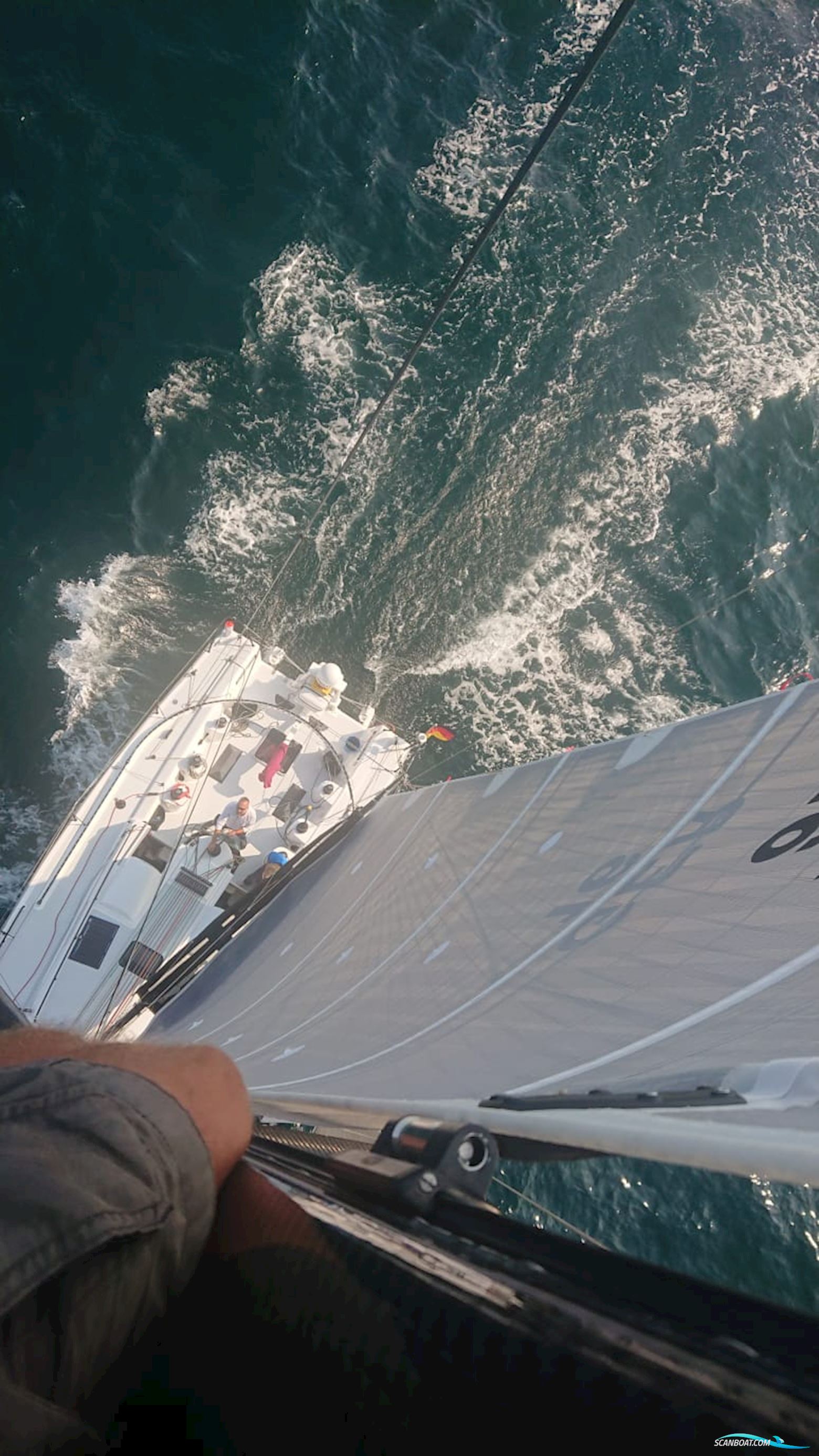 Lion Yachts Class 40