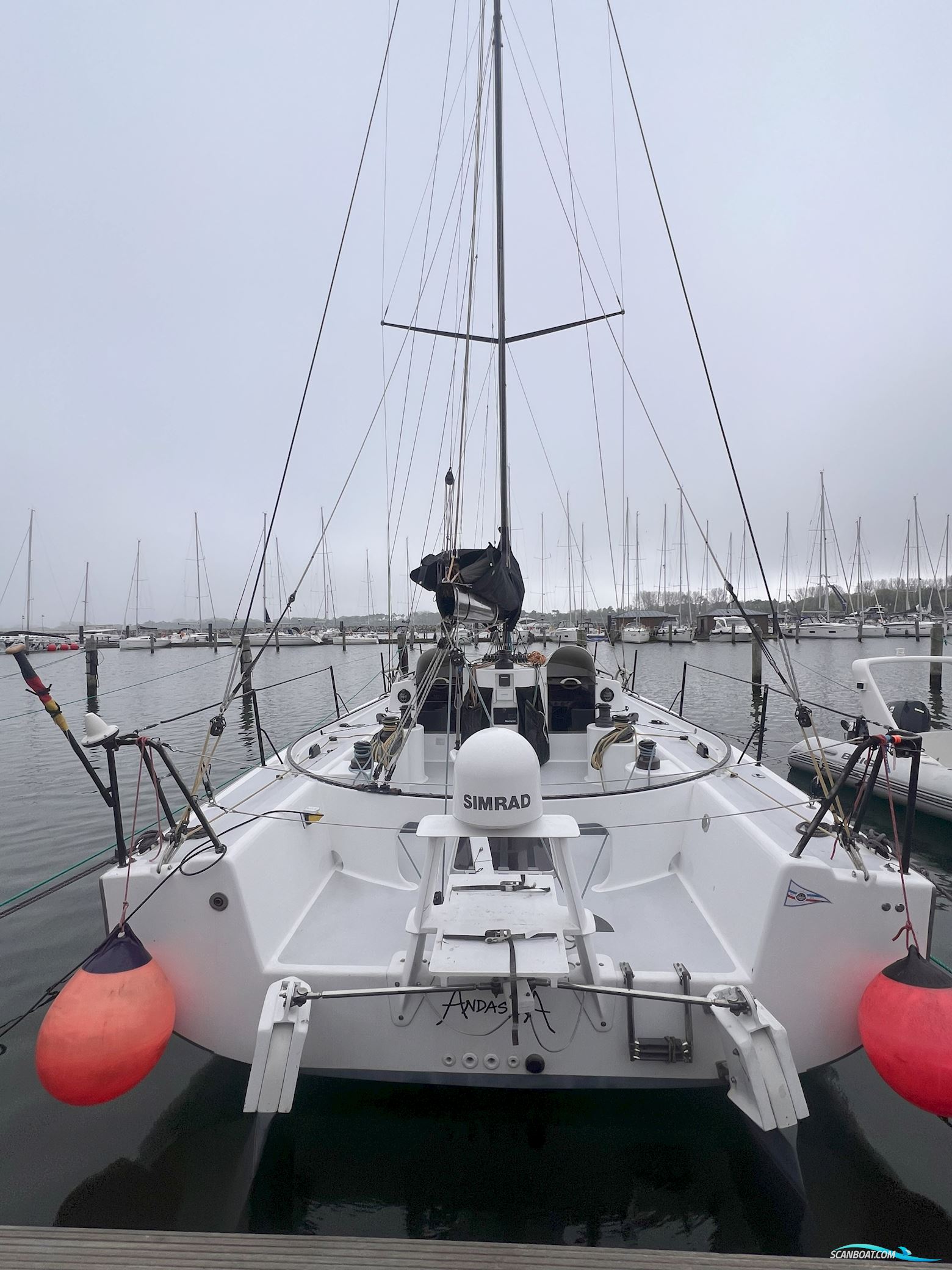 Lion Yachts Class 40