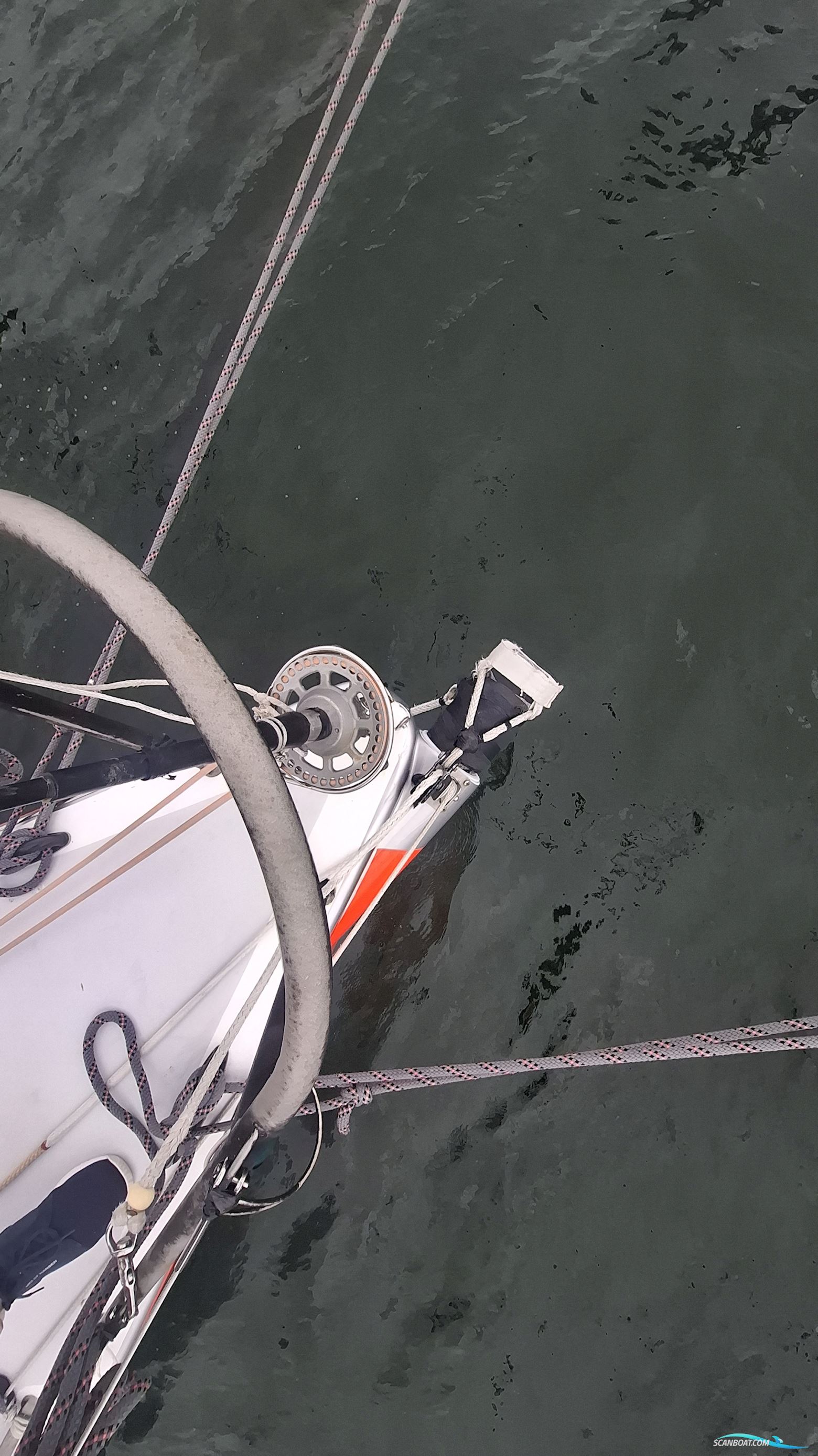 Lion Yachts Class 40