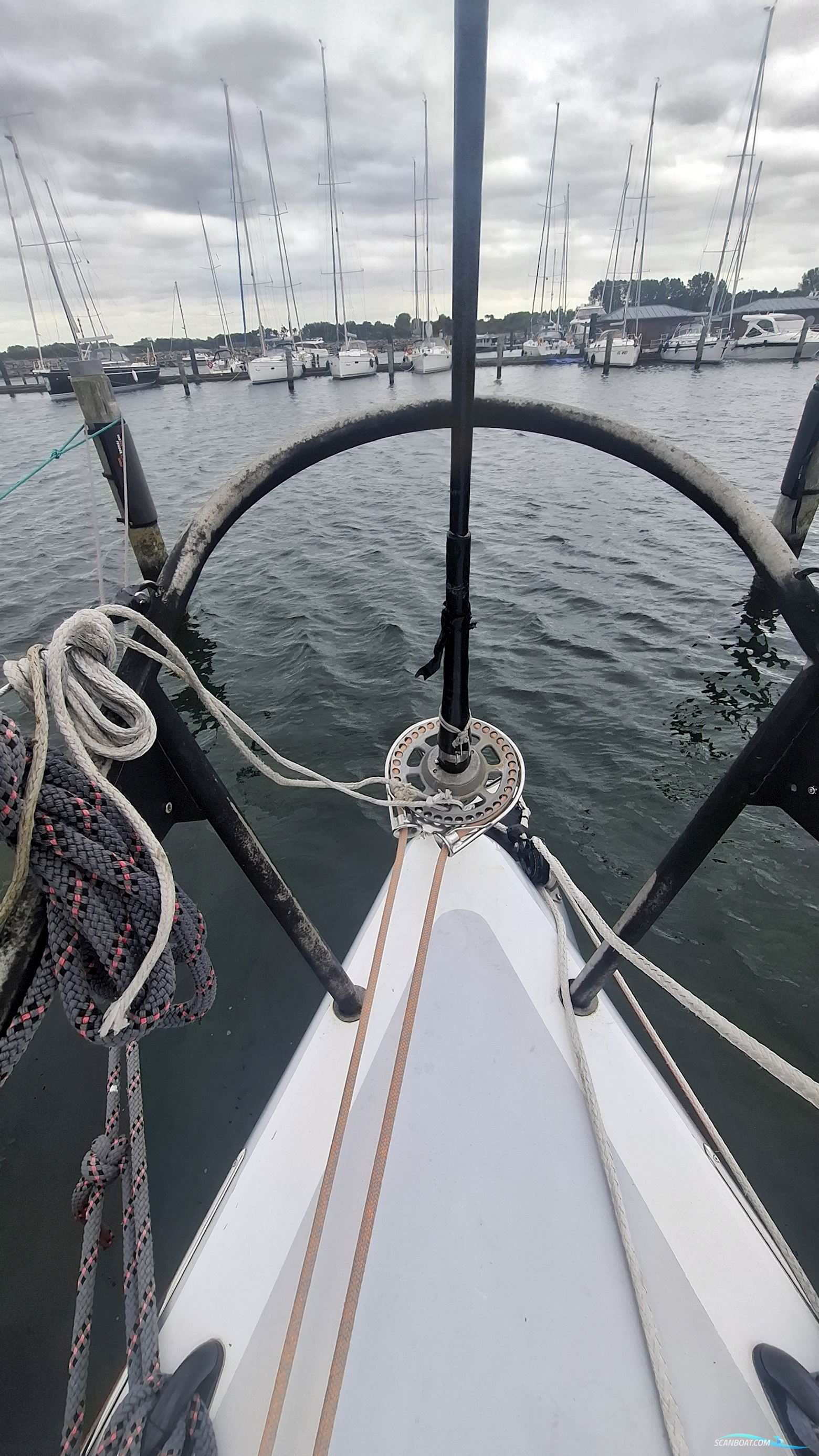 Lion Yachts Class 40