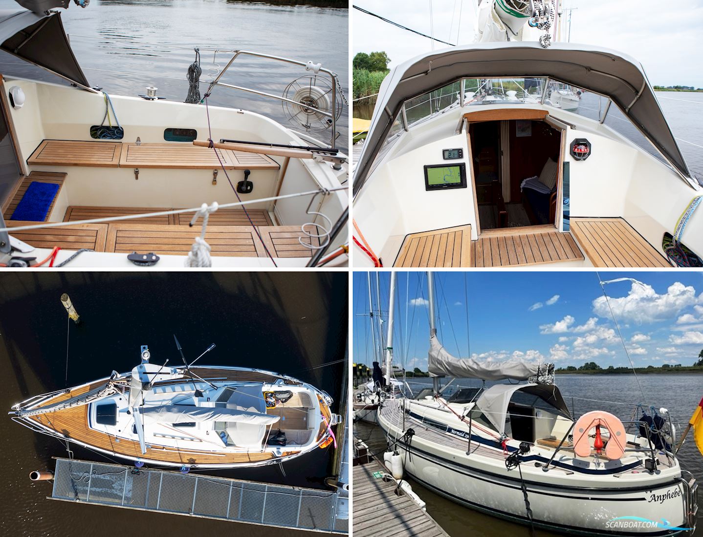 LM Mermaid 290