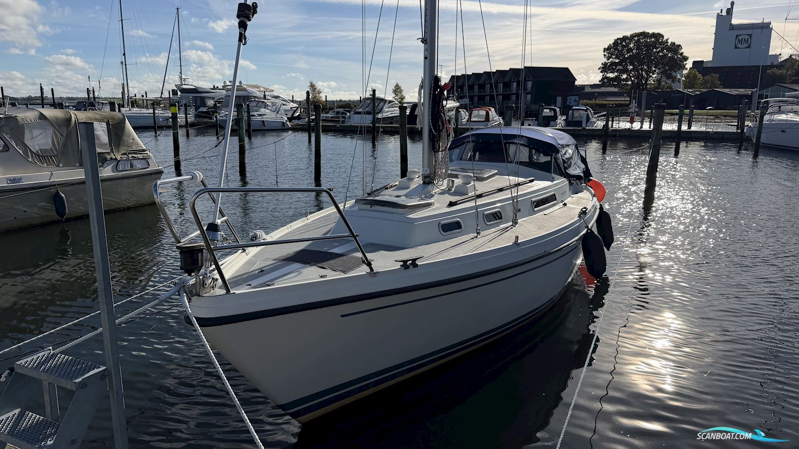 LM Mermaid 290