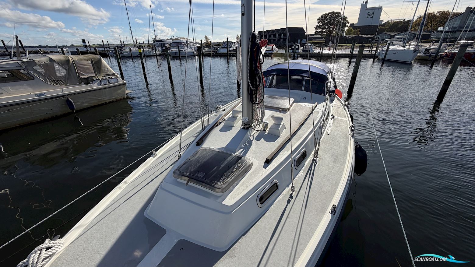 LM Mermaid 290