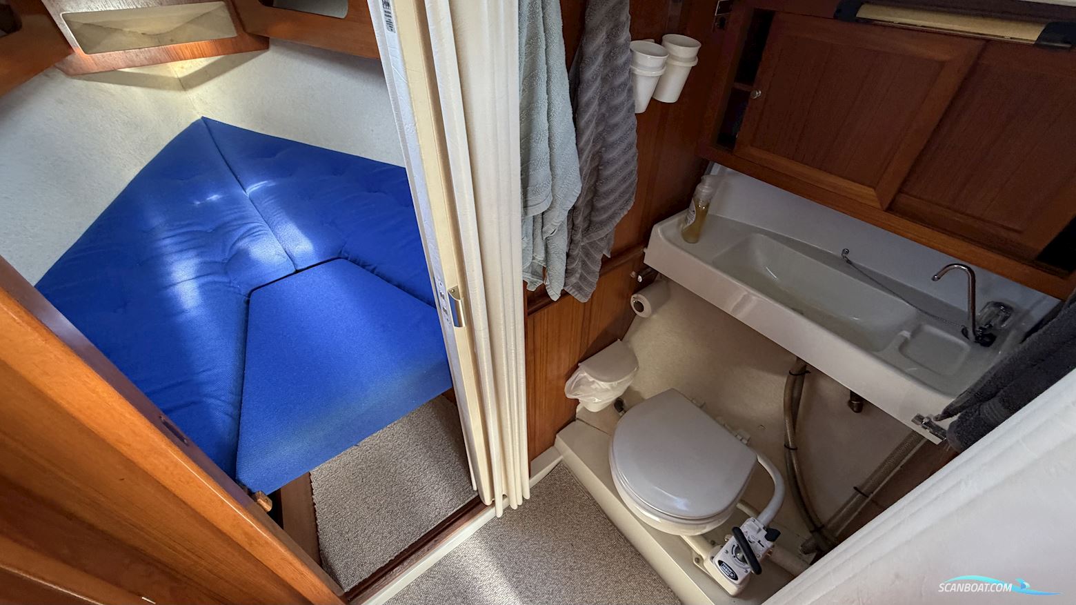 LM Mermaid 290