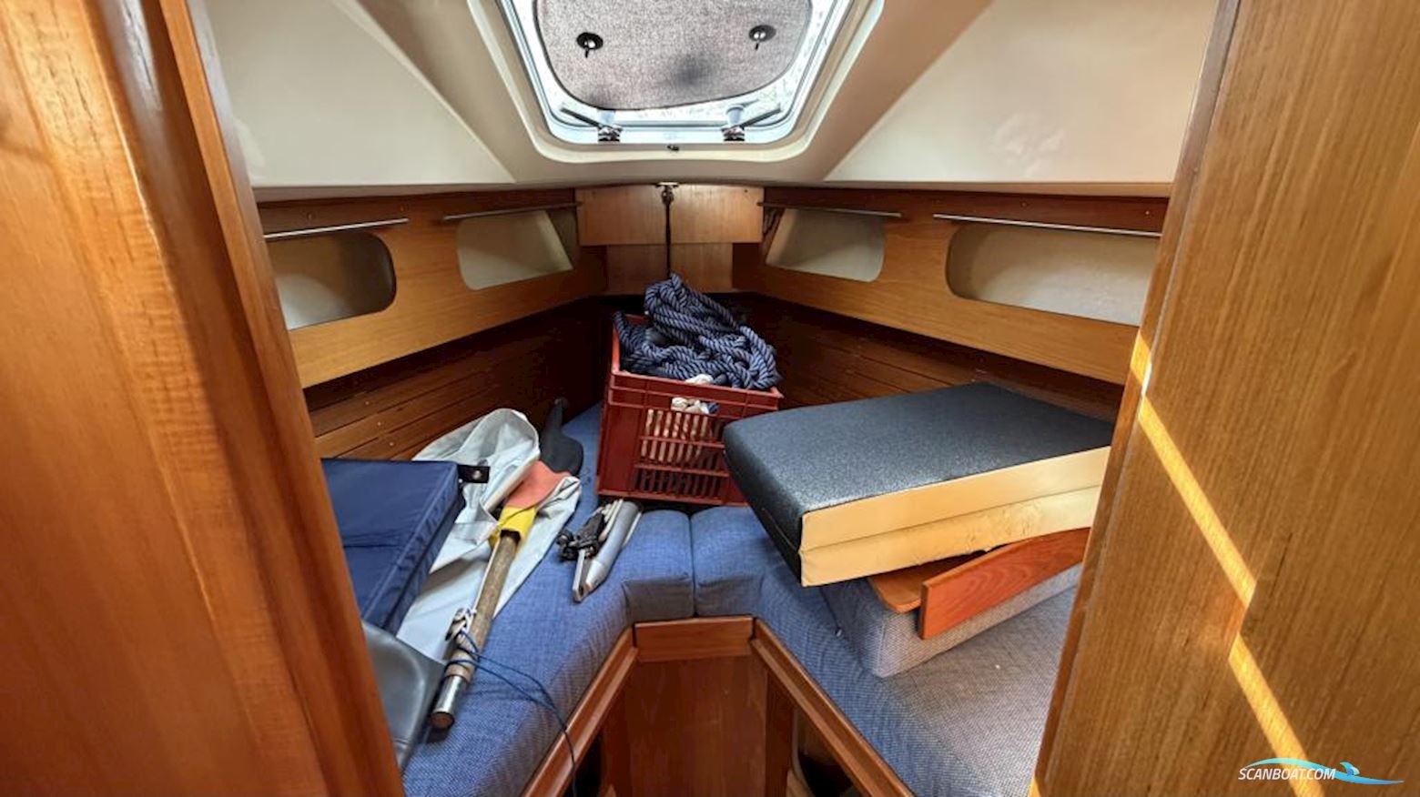 LM Vitesse 33