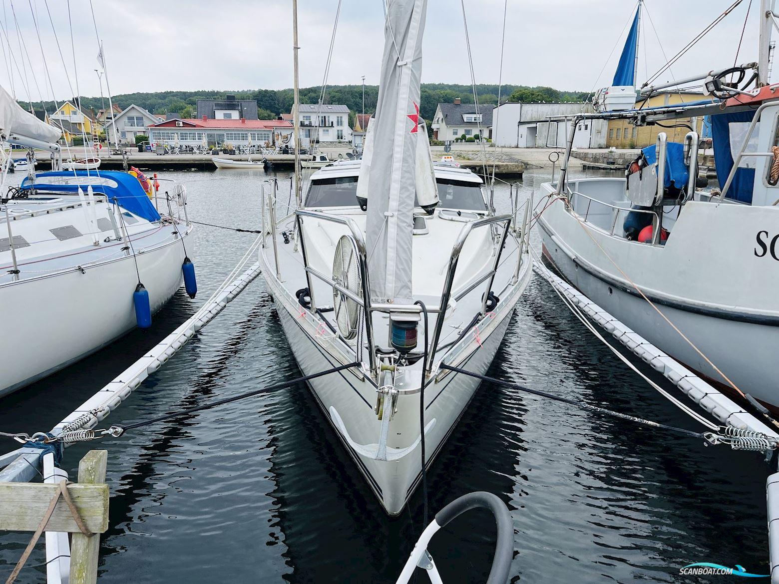 LM Vitesse 35 Vision