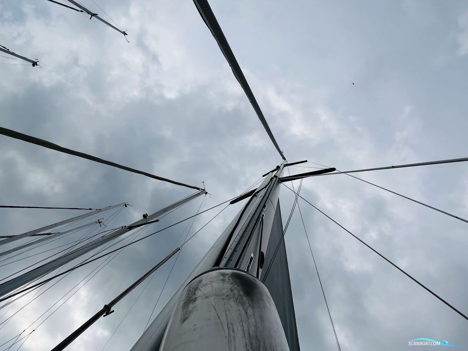 LM Vitesse 35 Vision