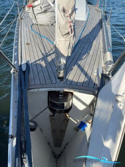 Luffe 37