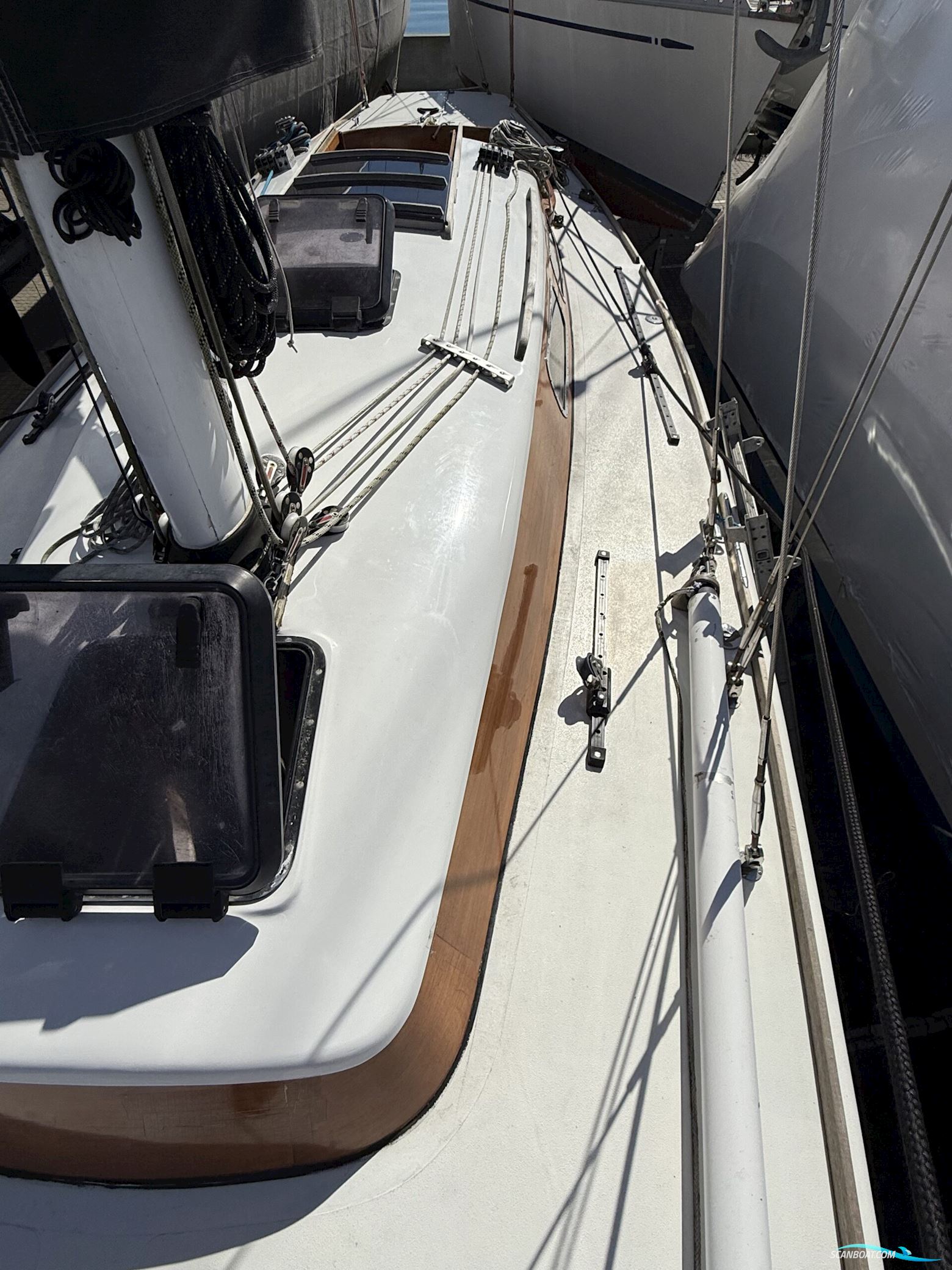 Luffe 40 One Off. NEDSAT