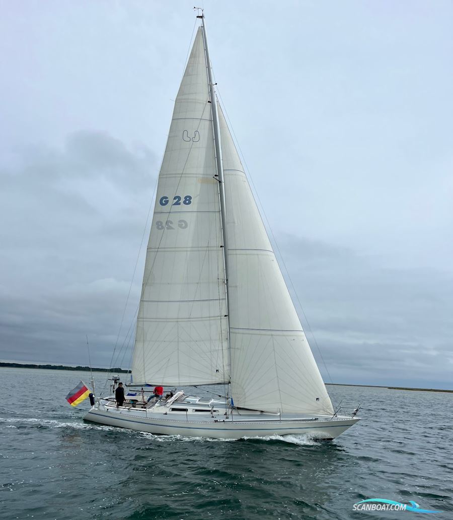 Luffe 44