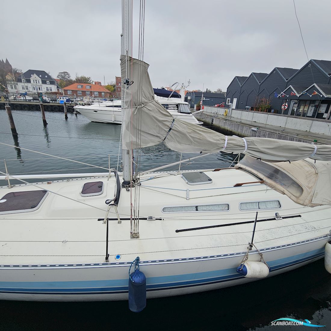 Luffe 44
