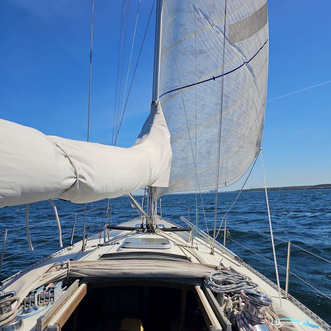 Luffe 44
