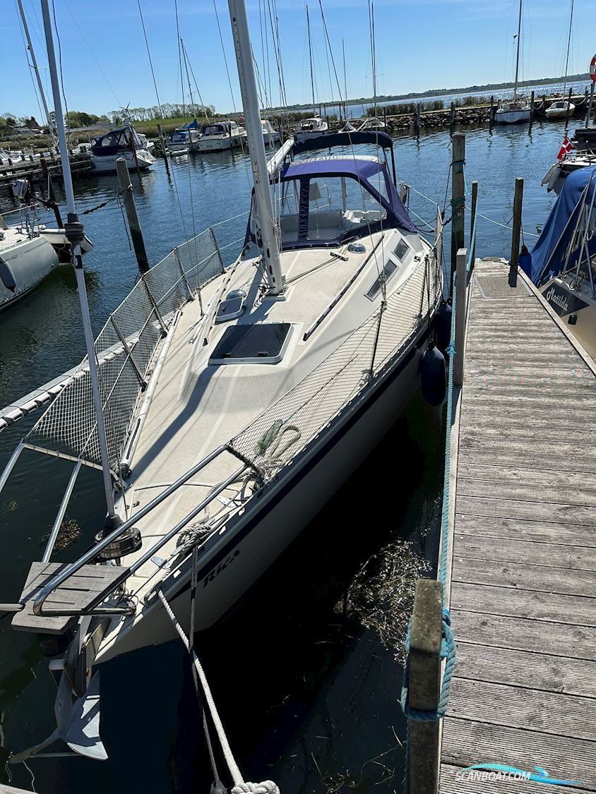 Mamba 29 Segelboot 1986, mit Yanmar motor, Dänemark