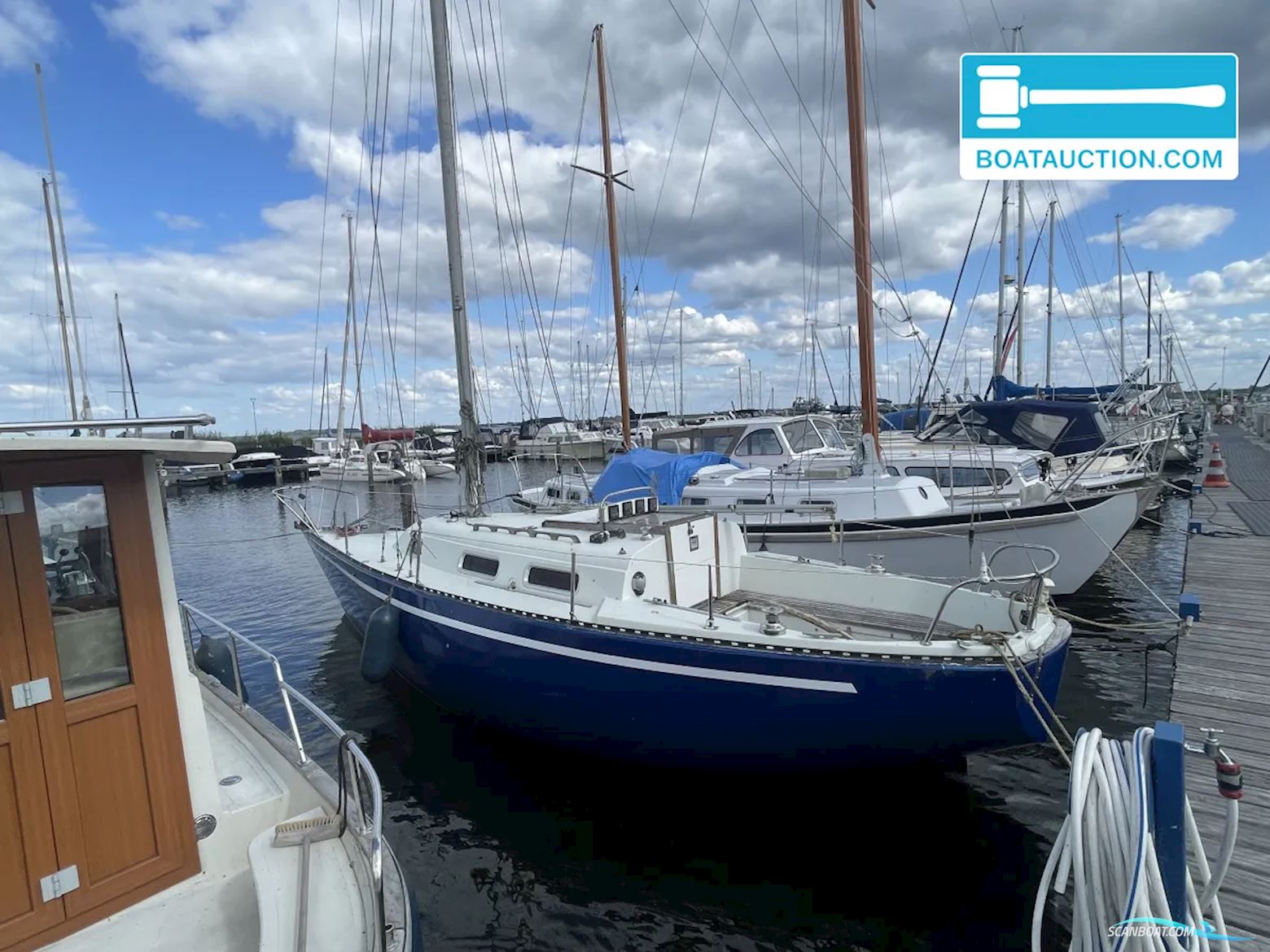 Martin 29