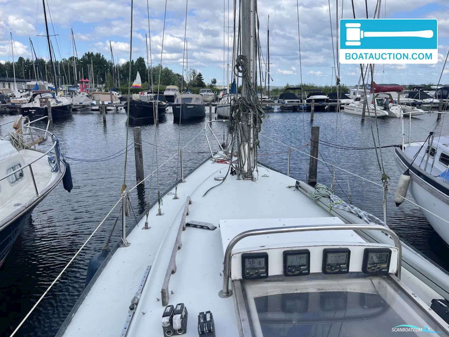 Martin 29