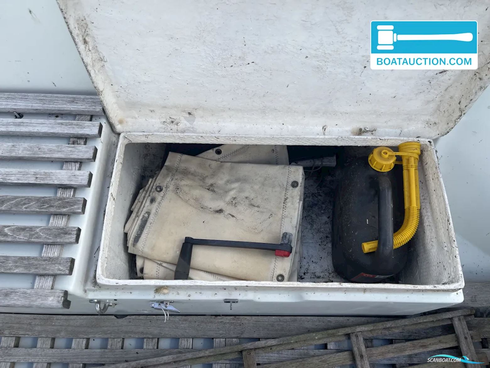 Martin 29
