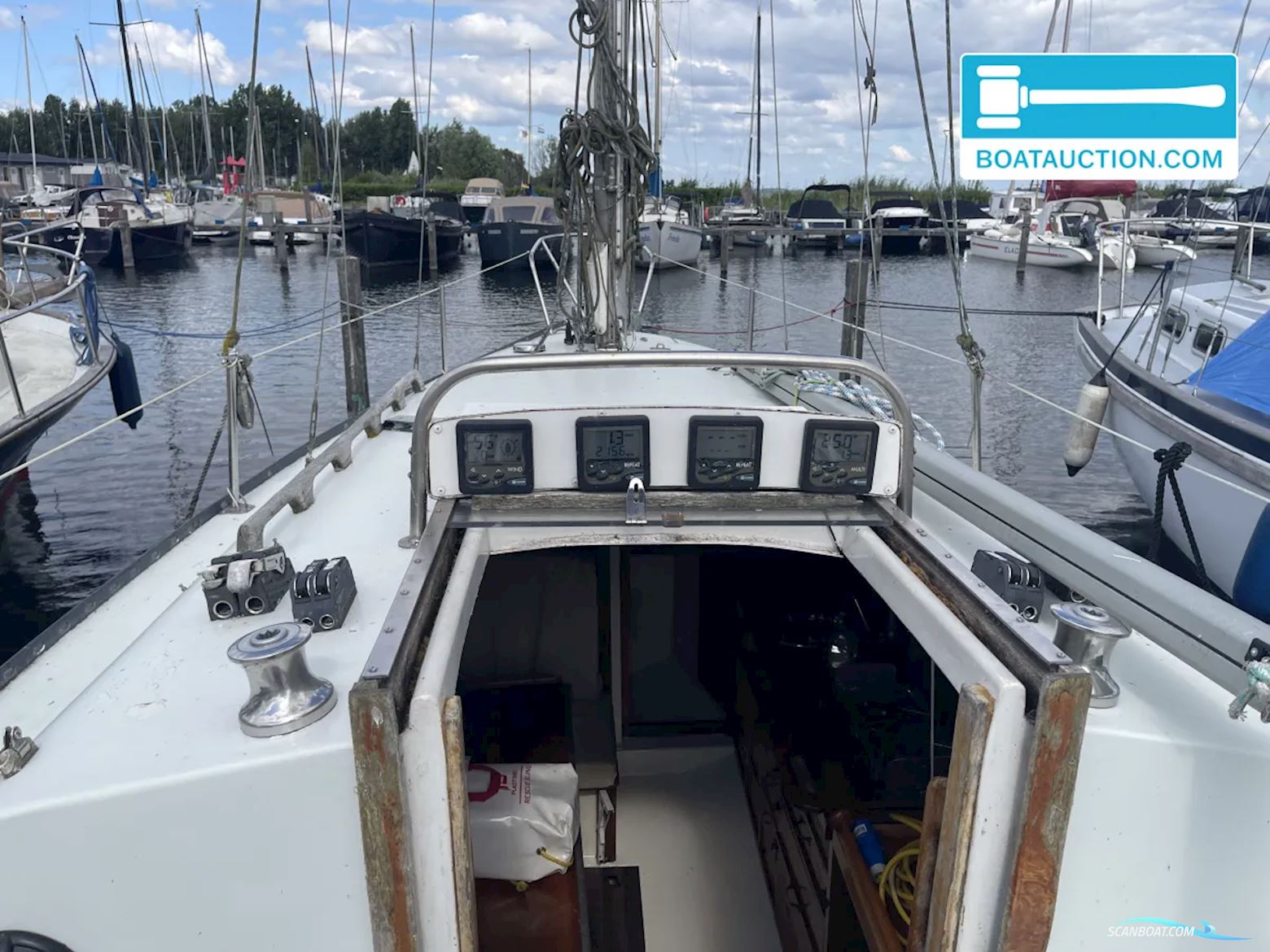 Martin 29
