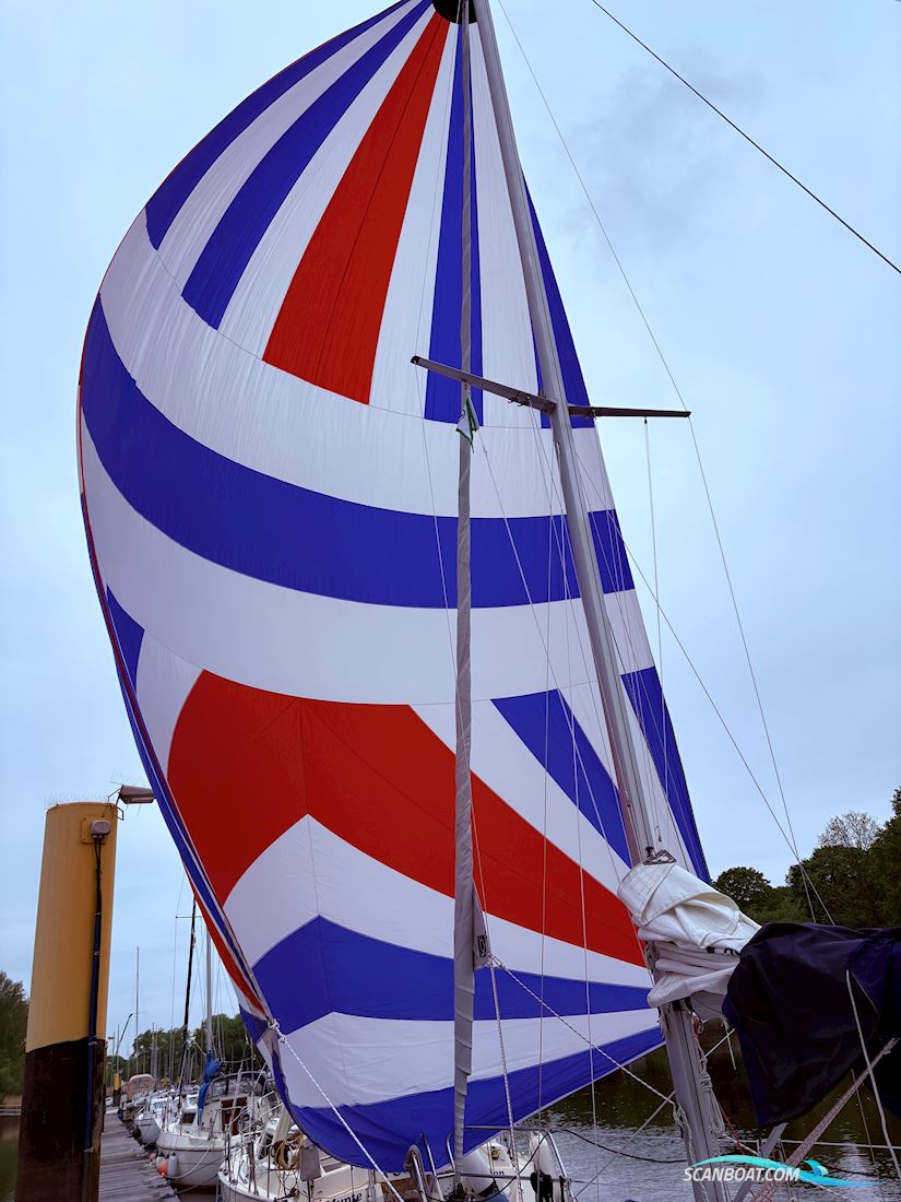 Mascot 28