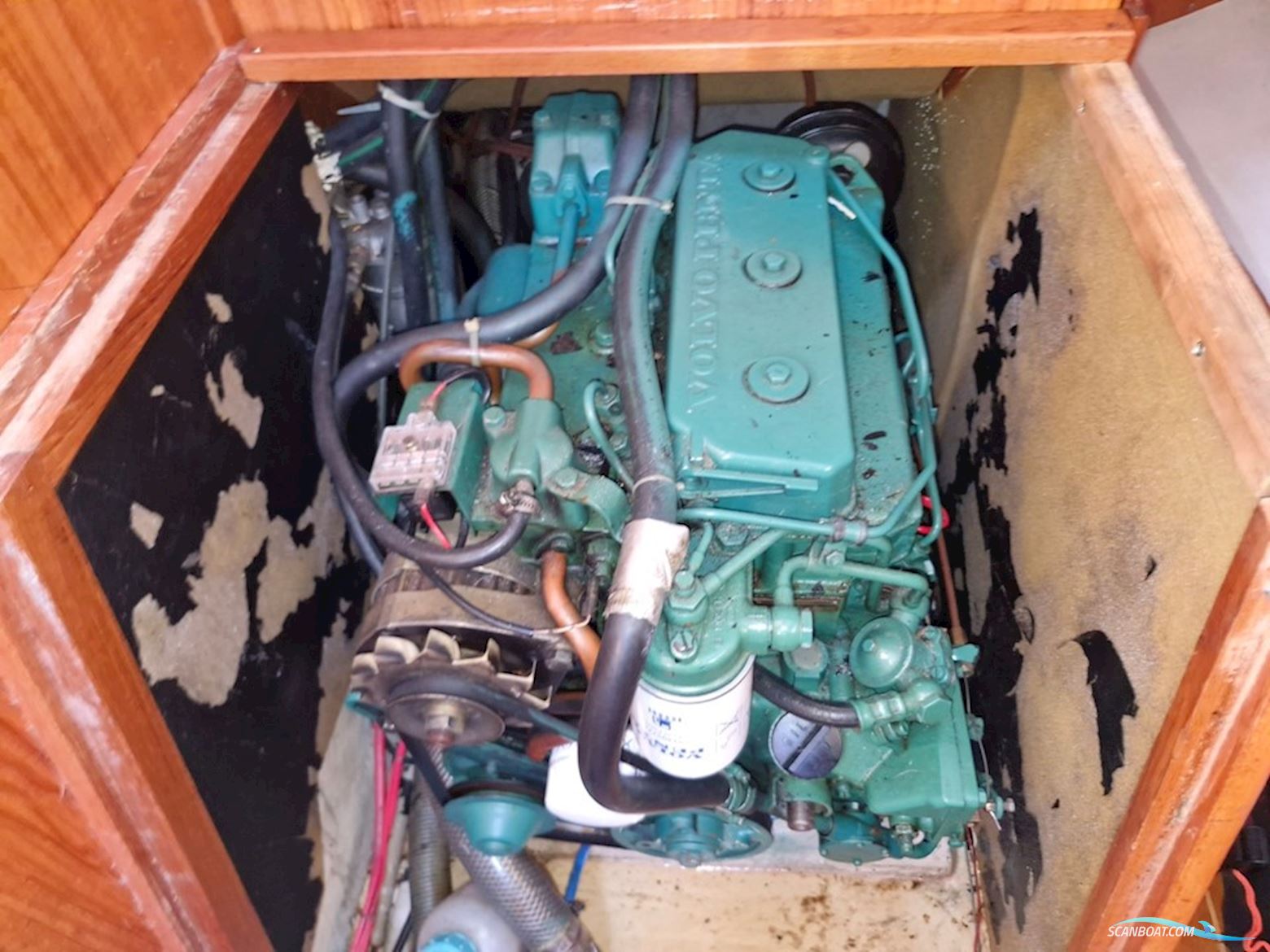 Maxi 33