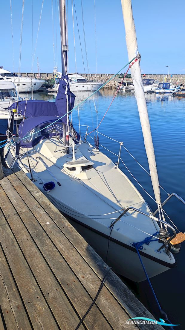 Maxi 77 Segelboot 1978, mit Vetus motor, Dänemark