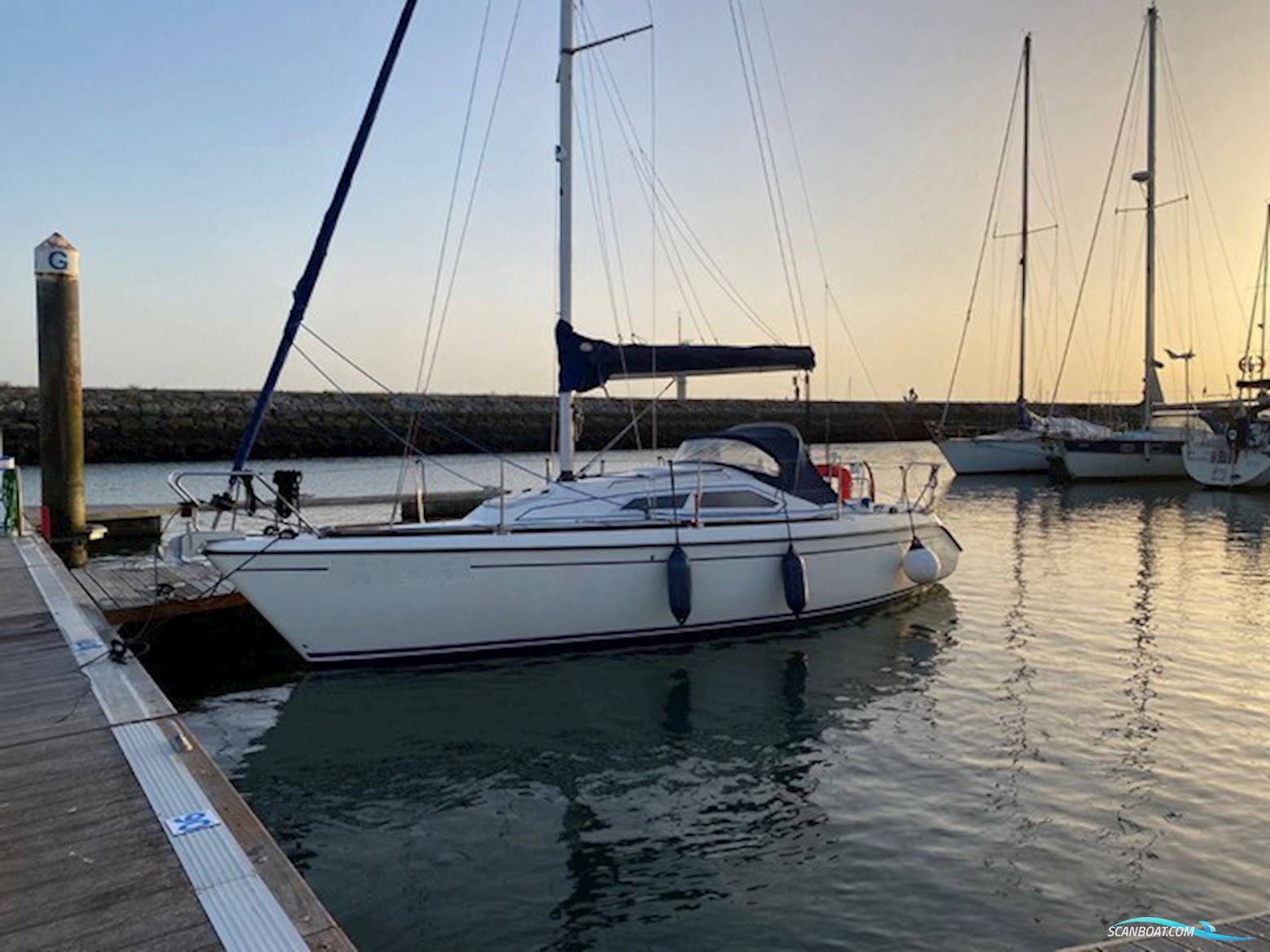 Maxi 800