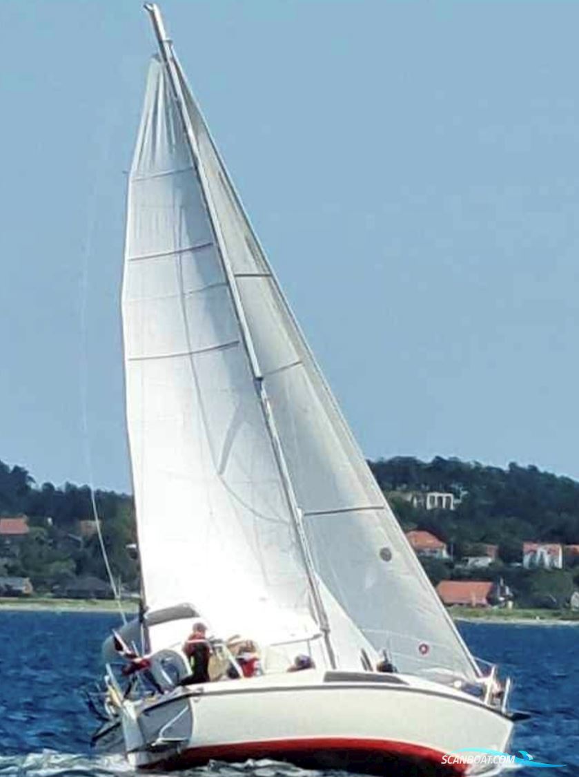 Maxi 84