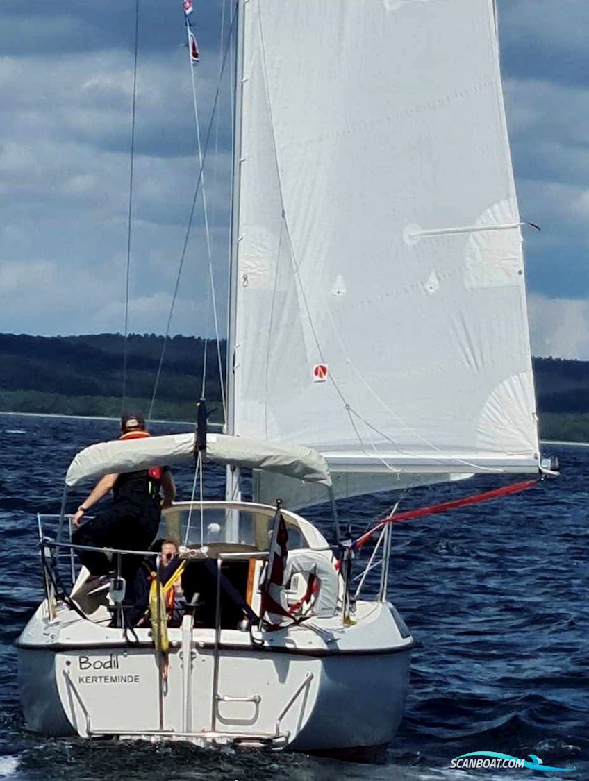 Maxi 84