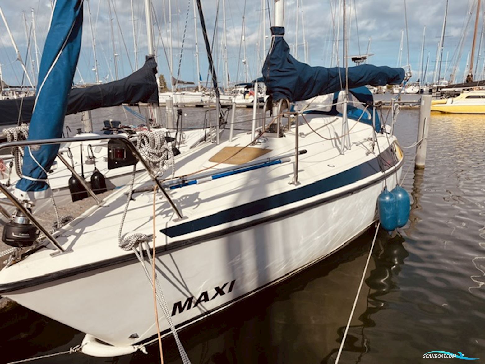Maxi 84