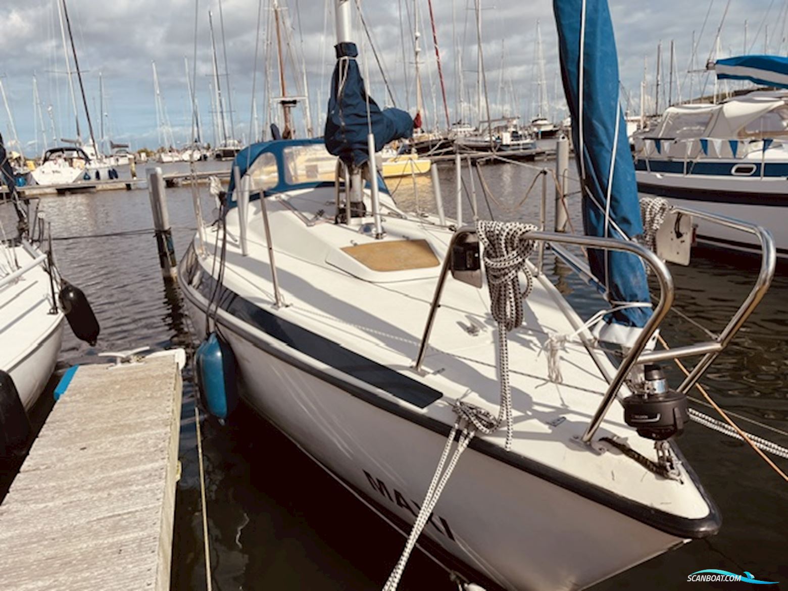 Maxi 84