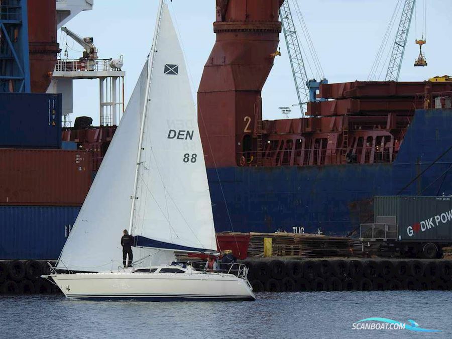 Maxi 909 Segelboot 1988, mit Craftsman CM2.16 motor, Dänemark