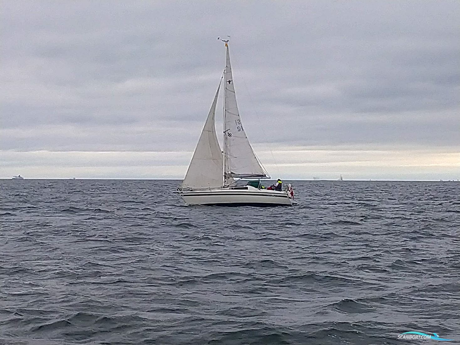 Maxi Fenix Segelboot 1981, mit Vetus motor, Dänemark
