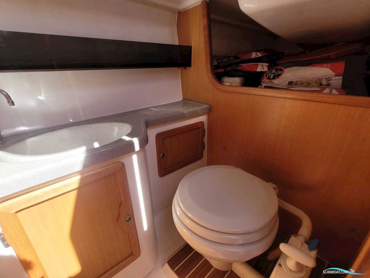 Maxus 24