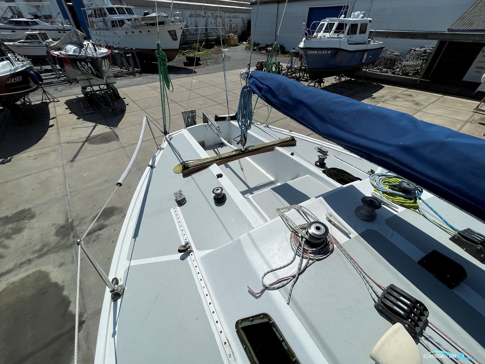 Michel Joubert Extra Paulette ¼ Tonner