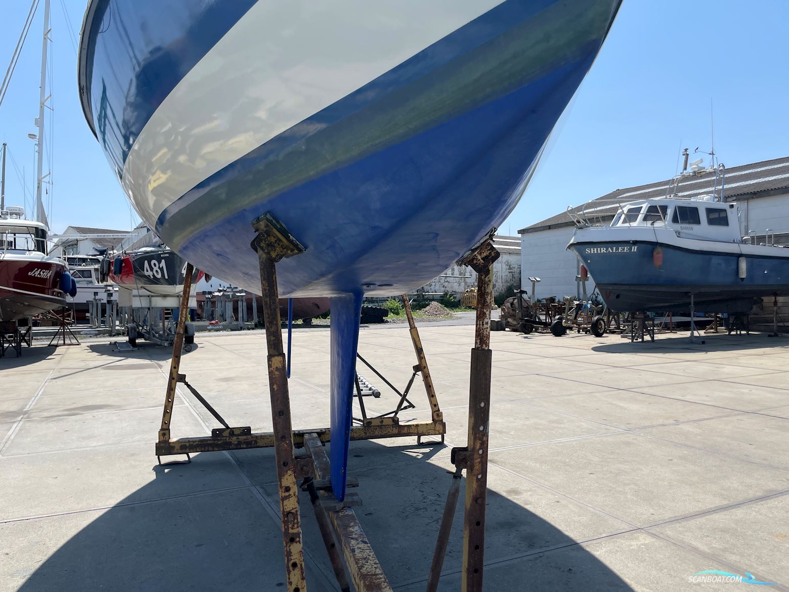 Michel Joubert Extra Paulette ¼ Tonner