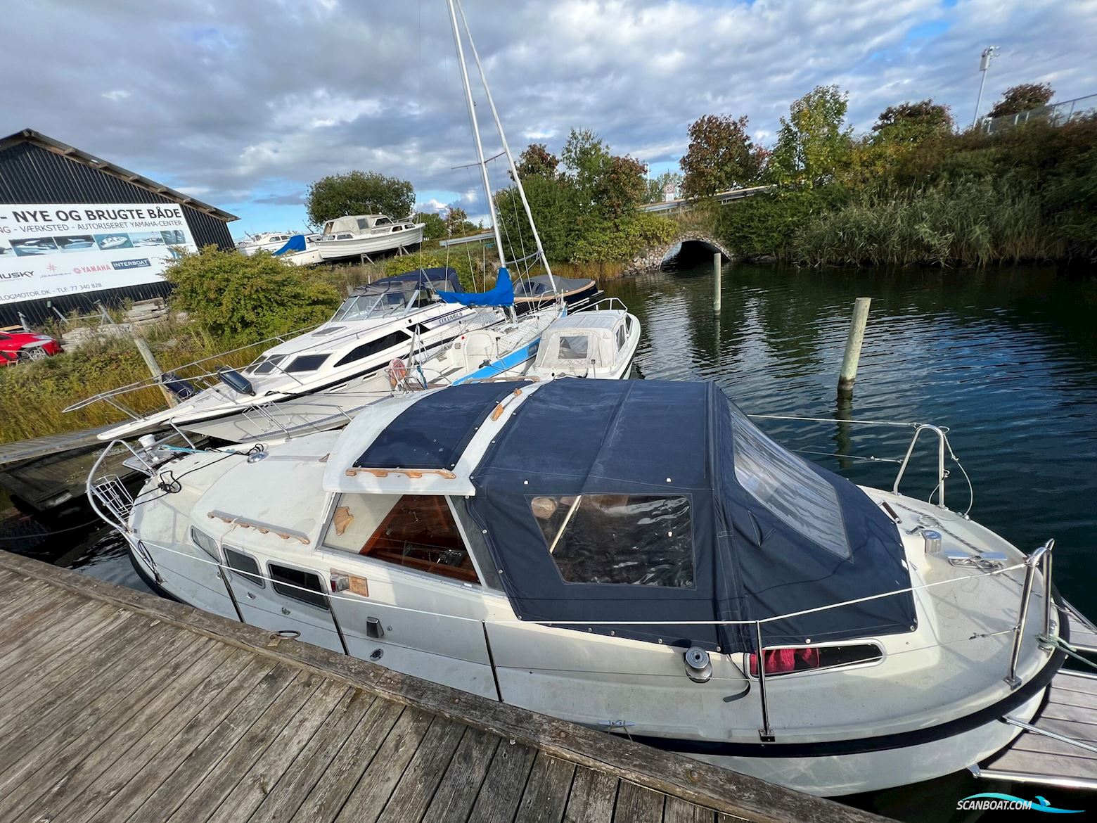 Møn 27