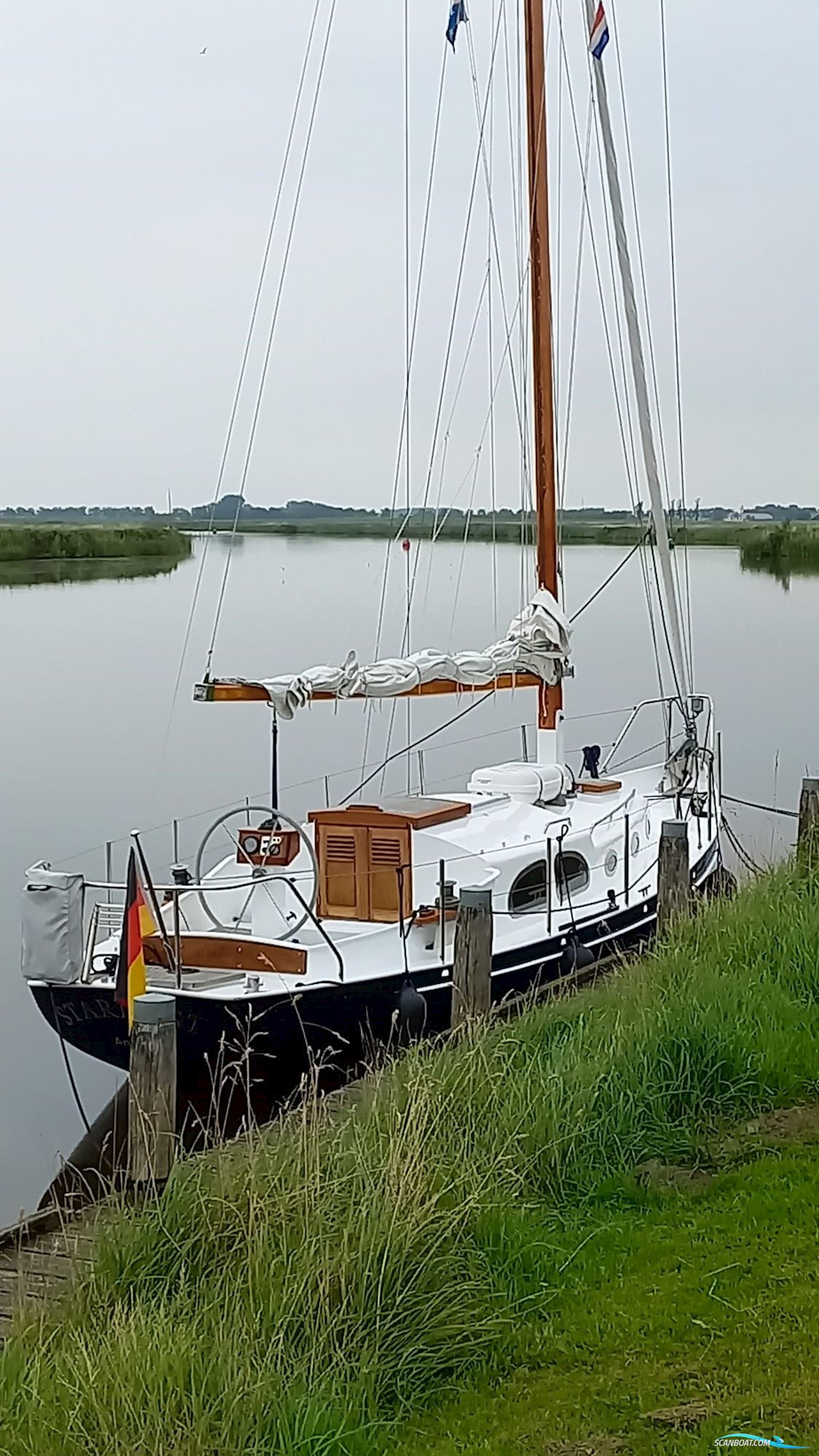 Moerman 29