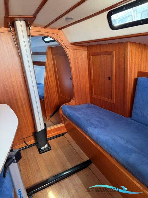 Molich Classic