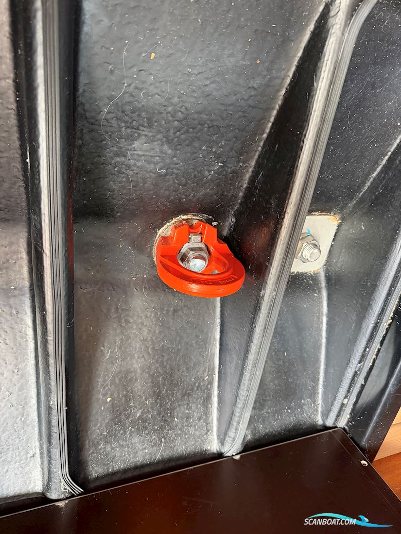 Molich Classic