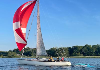 Molich X-Meter Segelboot 1981, mit Volvo D1 20hk motor, Dänemark