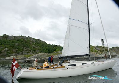 Molich X Meter Segelboot 2005, mit Yanmar GM20FC motor, Dänemark