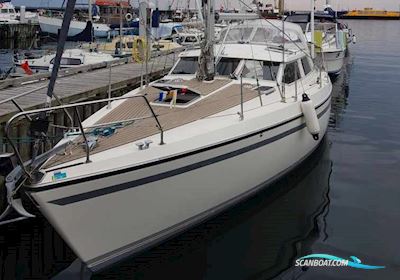 Moody 33 Eclipse Segelboot 1989, mit Volvo Penta 2040-D BT motor, Dänemark