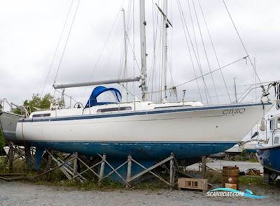 Moody 36 Segelboot 1980, mit Beta motor, Irland