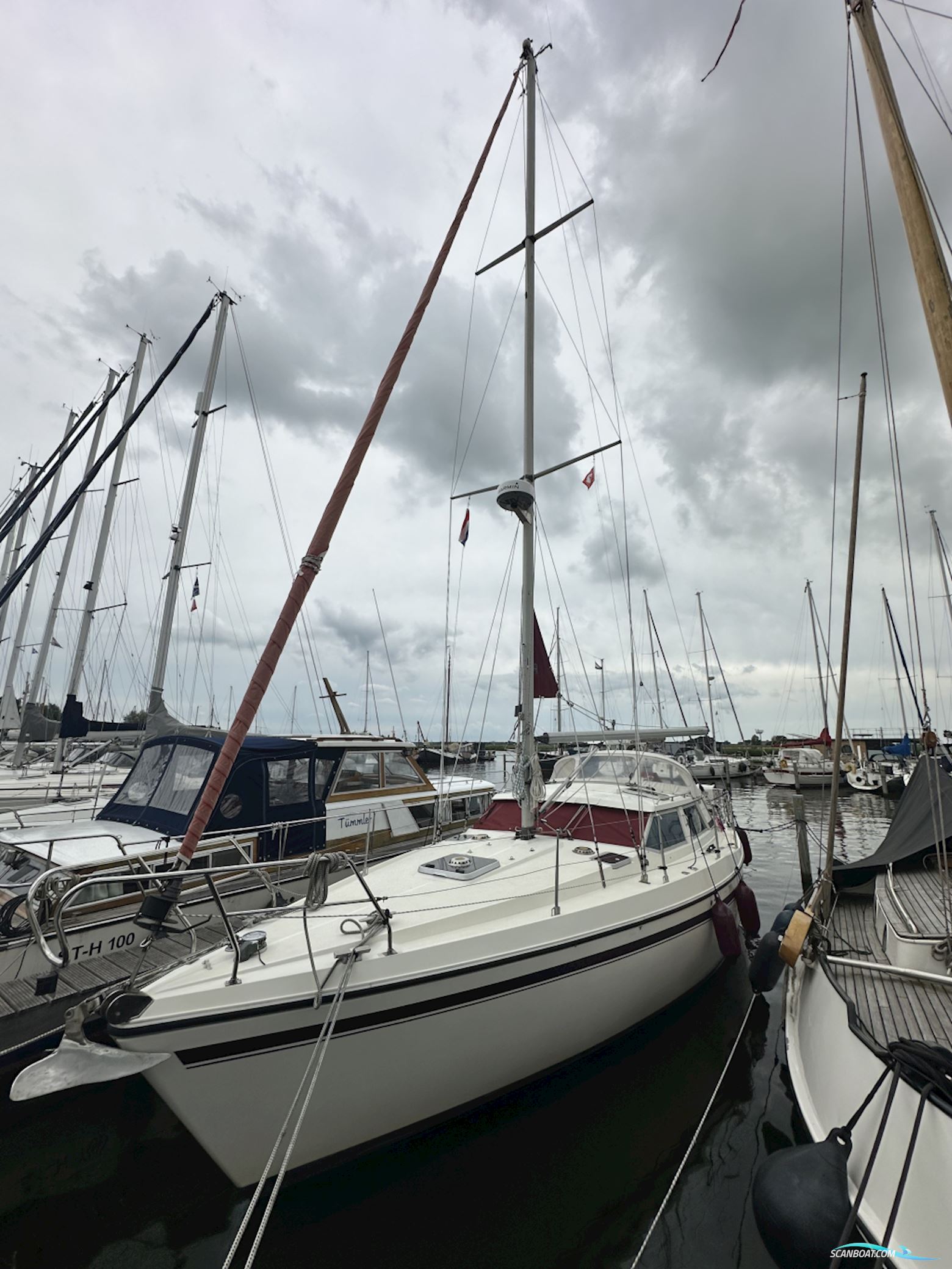 Moody Eclipse 33