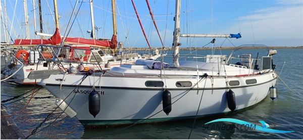 Morgan OI 33 Segelboot 1975, mit VW T3 motor, Italien