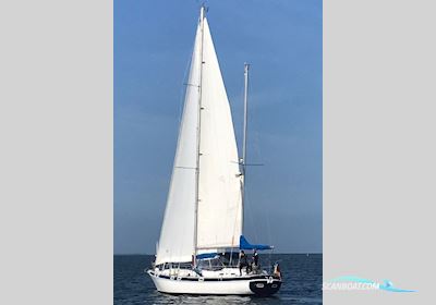 Morgan Out Island 41 Segelboot 1982, mit Yanmar motor, Niederlande