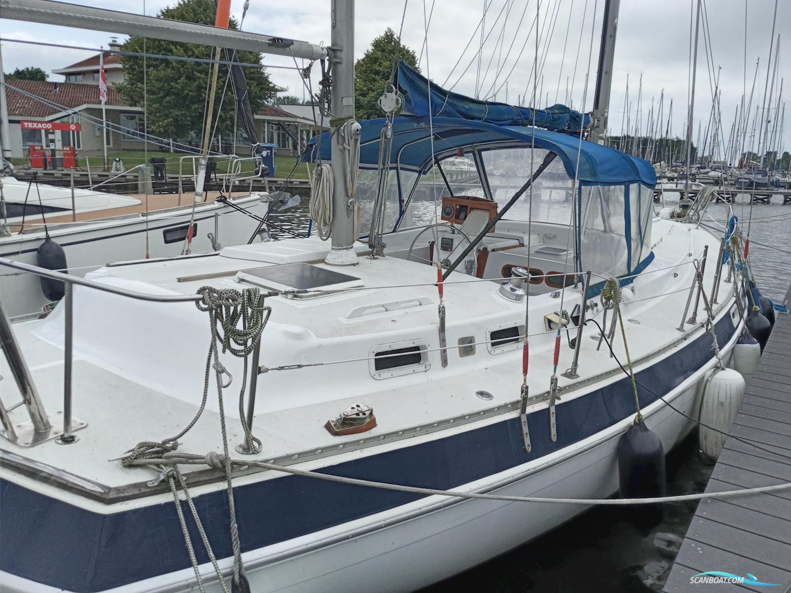 Morgan Out Island 41