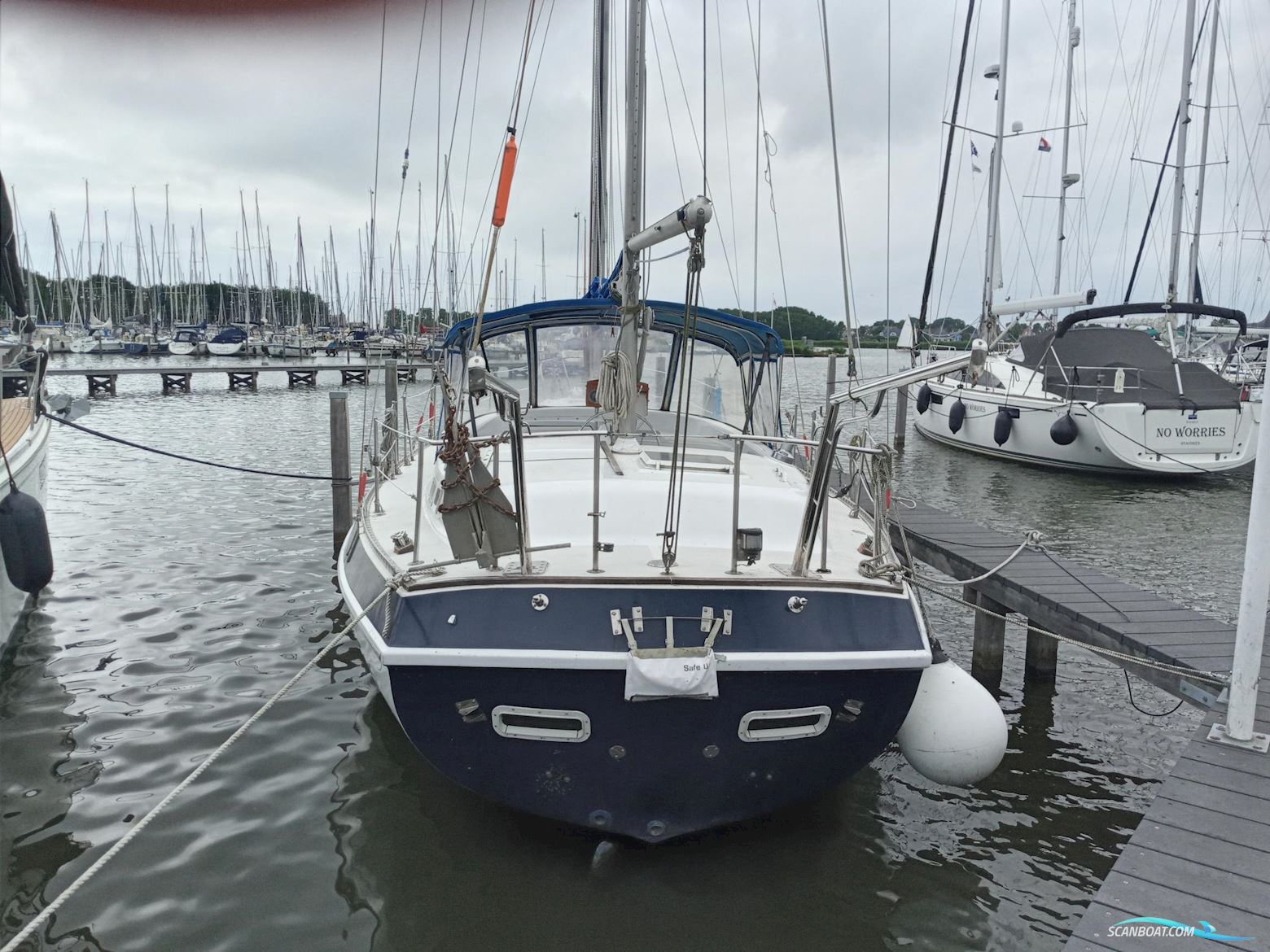 Morgan Out Island 41